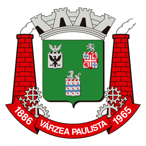 Rodolfo Wilson Rodrigues Braga